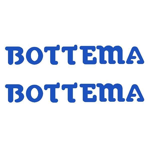 Bottema - DIE CUT fork decals - BLUE