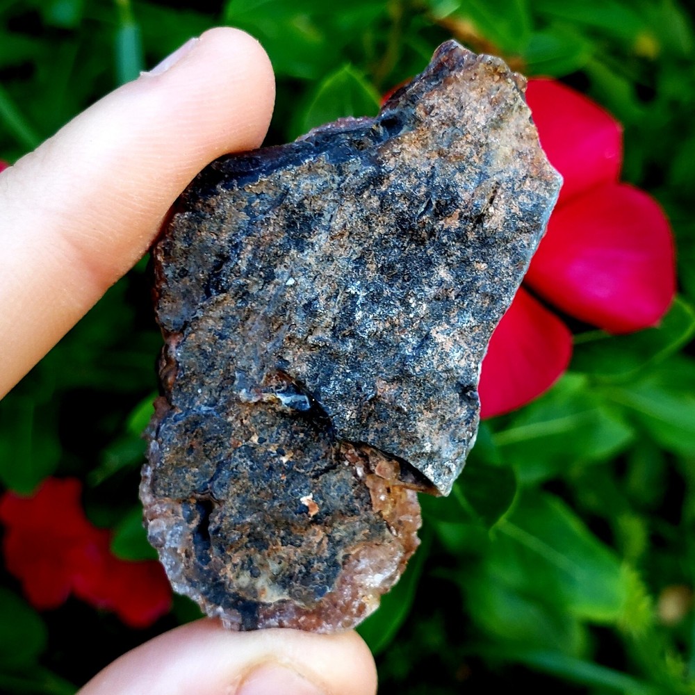 Fossilized Agate shell Cluster druzy natural crystal healing gemstone - #11