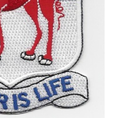 80th Engineering Battalion Patch