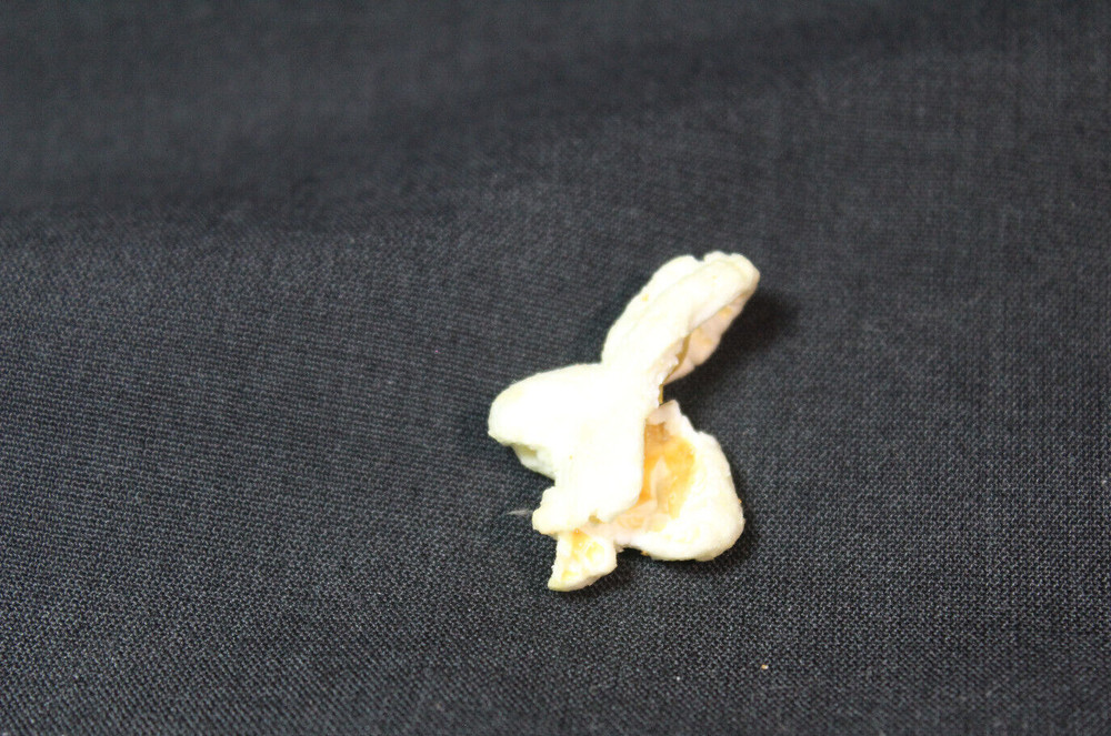 Easter Bunny Rabbit Actual Popcorn Piece Shape WILL NEVER HAPPEN AGAIN!