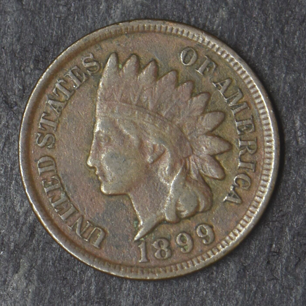 1899 Indian Head Cent - COINGIANTS -