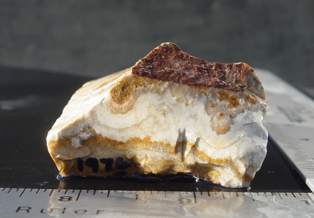Lace Agate   Small Lapidary Rough                               1476