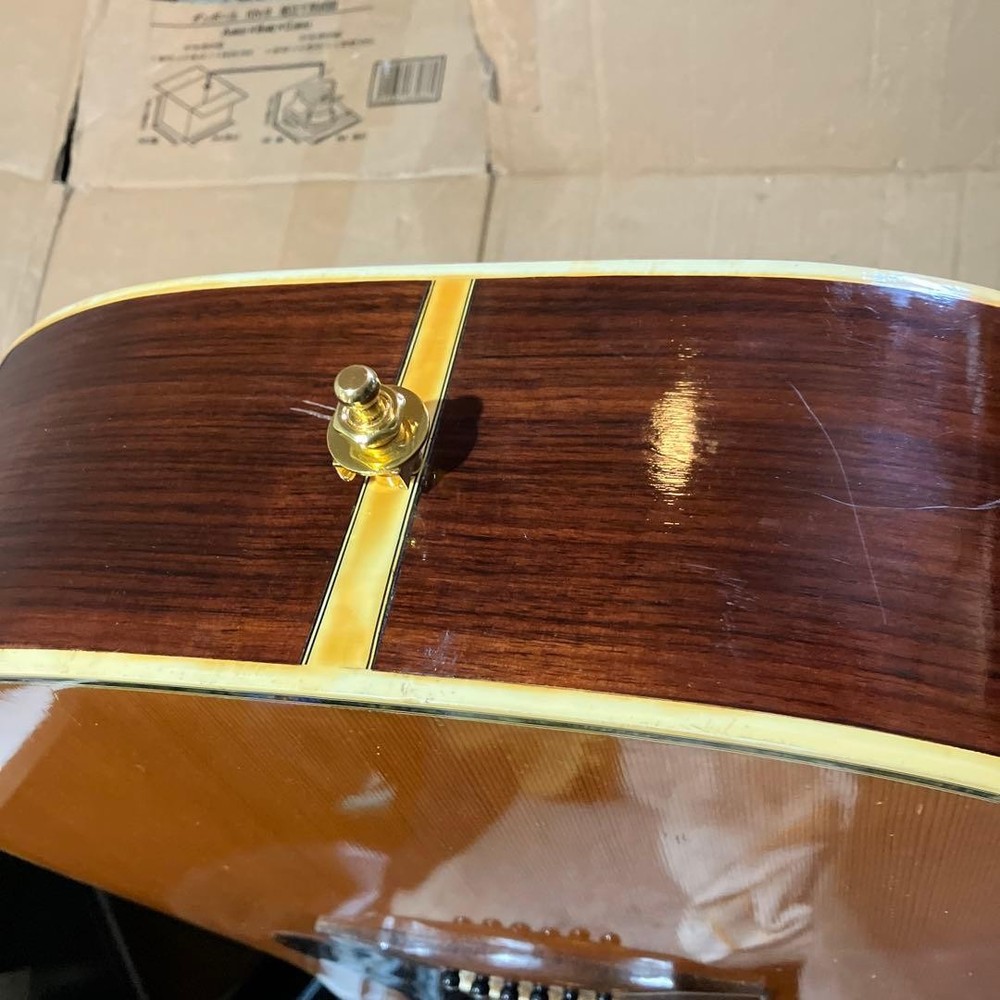 Mysterious Domestic Guild Model