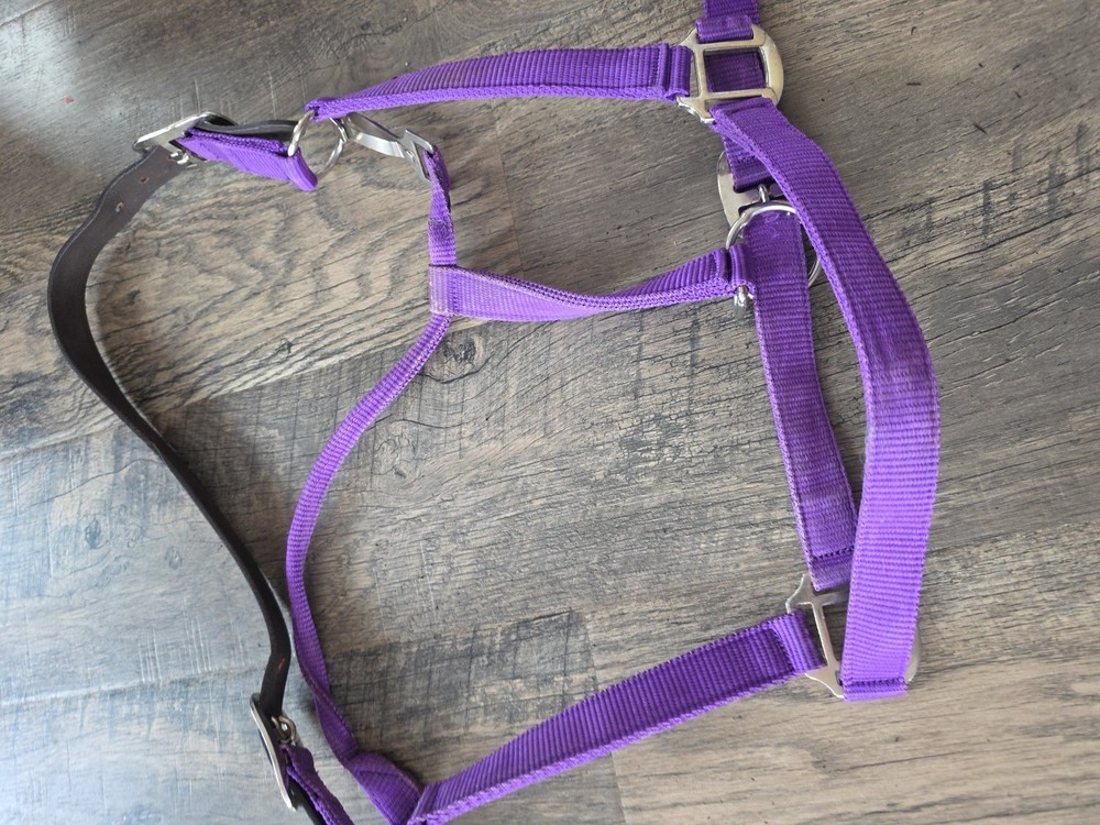 Horse Halter