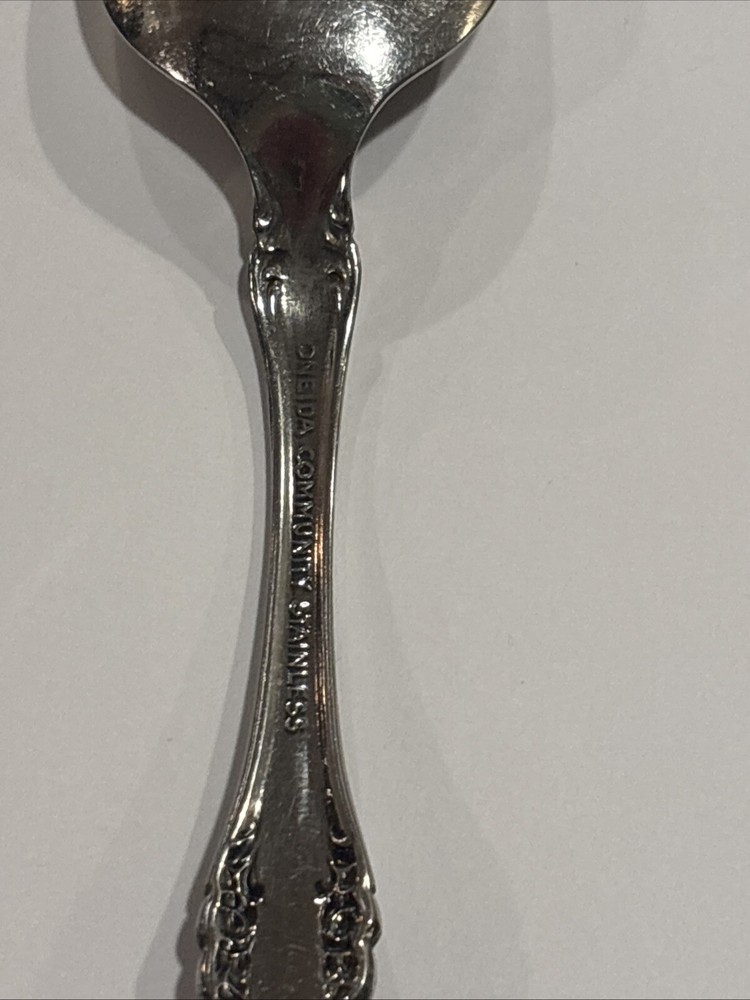Oneida Community Brahms Oval Spoon Stainless Flatware