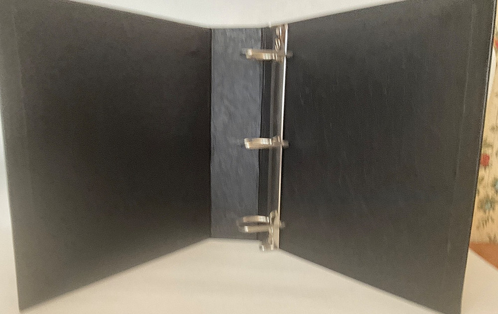 SAND SUEDE PYTHON & BLACK ALLIGATOR COWHIDE 3 RING BINDER