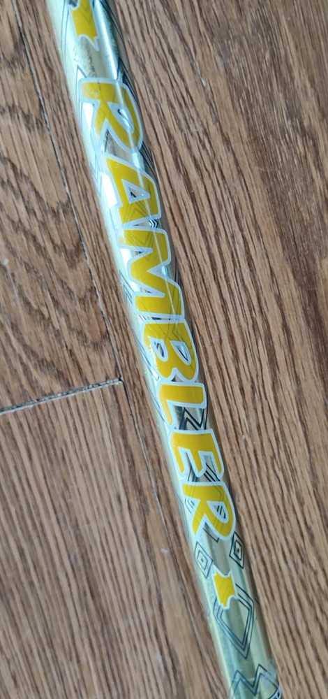 Mountainsmith Rambler Trekking Pole
