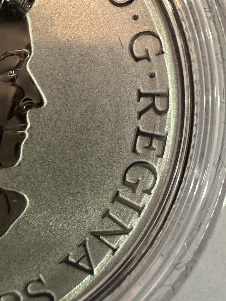 2021 7.96g PURE SILVER COIN.