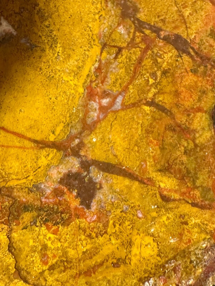 Beautiful Utah Yellowcat **hxtled agate.