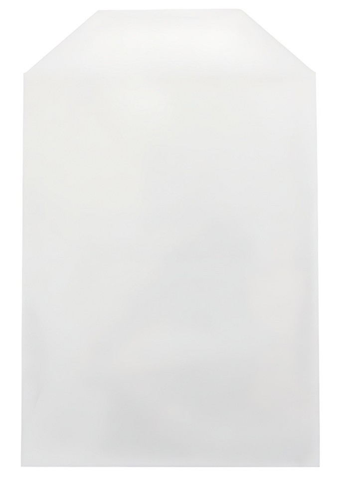 CPP Clear Plastic Sleeve with Flap (Fits 14mm DVD Case Artwork) READ DESCRIPTION