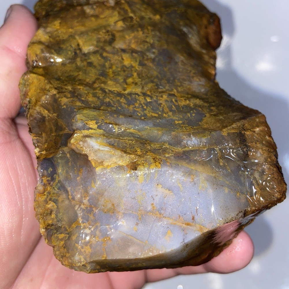 Gorgeous Icy Moss Agate Rough 1 Pound 12.25 Oz