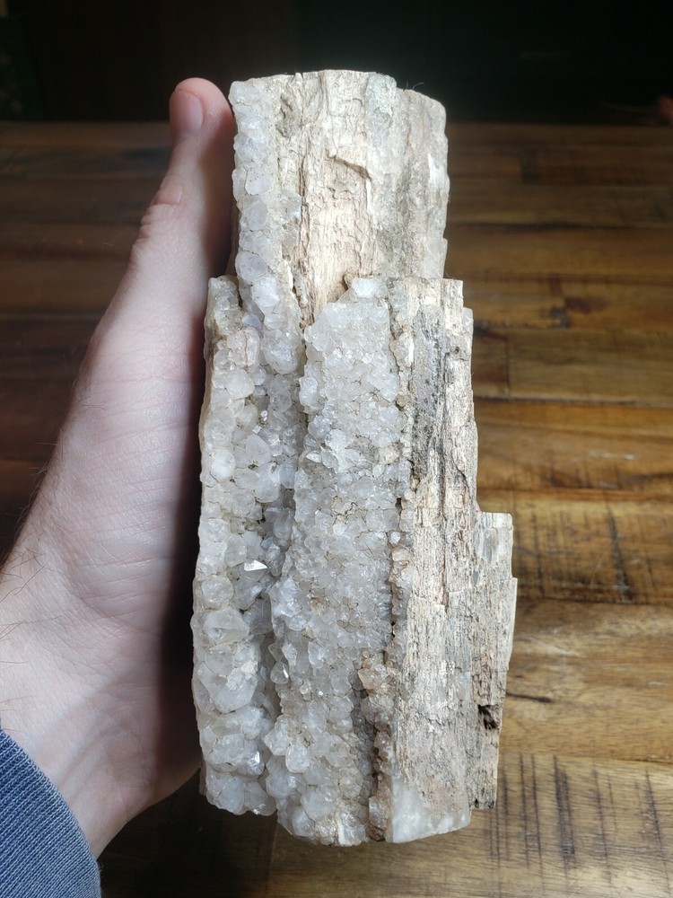 Crystalized Petrified Wood with vien 2.6lbs