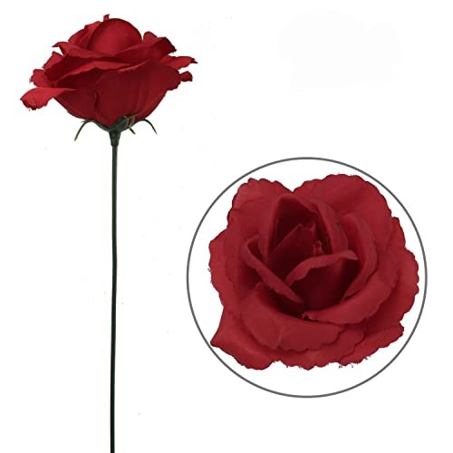 Carnations (Roses) 50 Burgundy