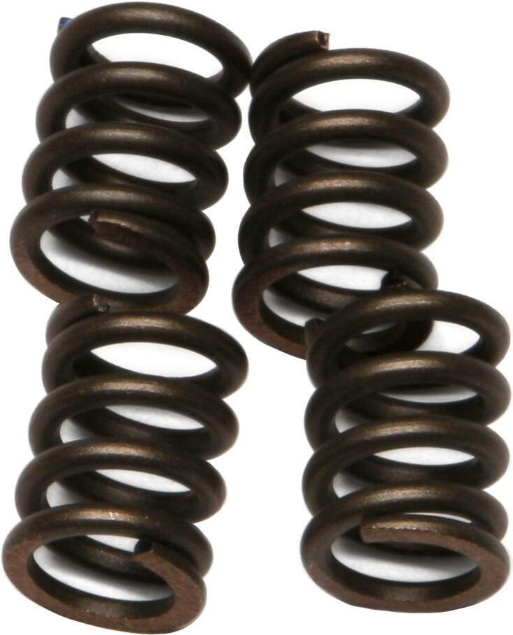 EBC CSK Clutch Spring Kit CSK22