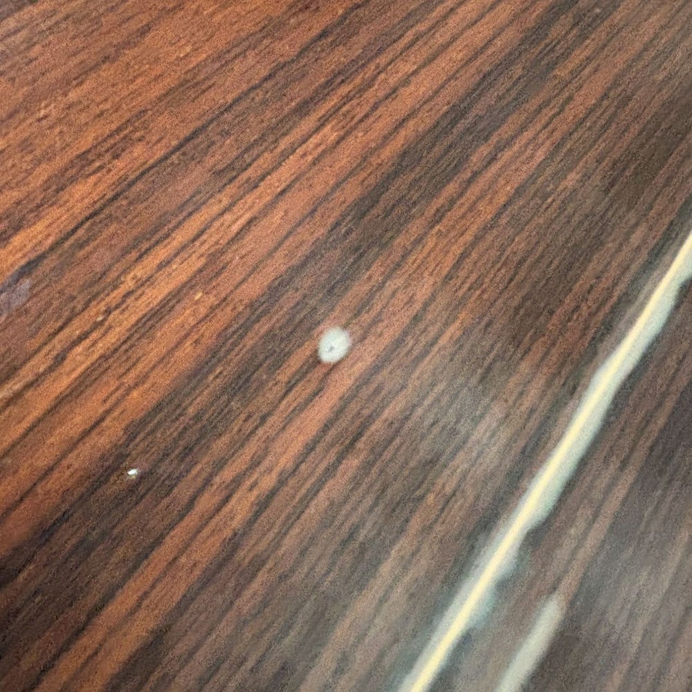 Raimundo 660-E (no260224)