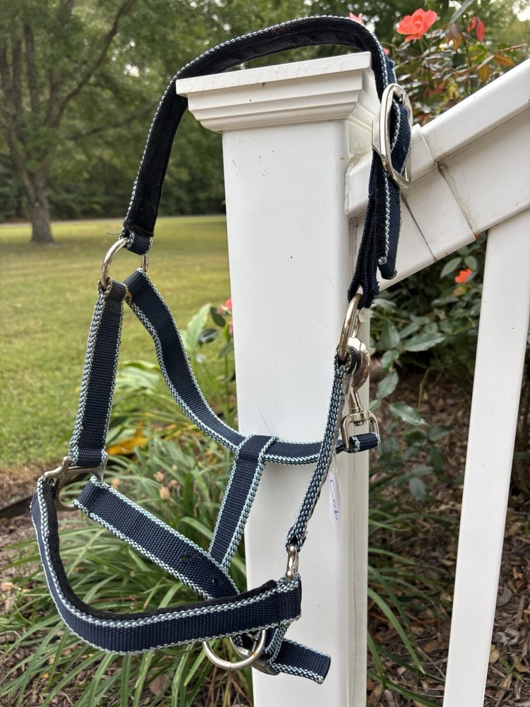 Field Safe Cob Size Halter - Breakaway/Reflective
