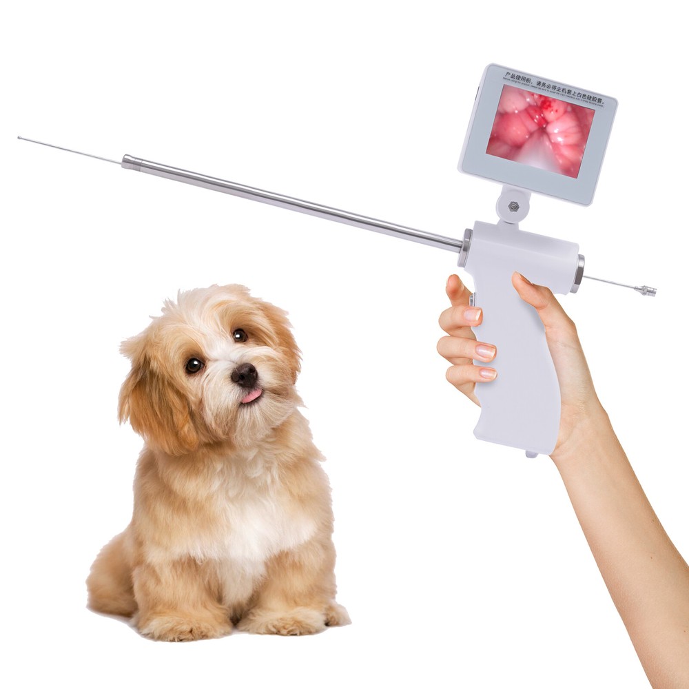 Visual Artificial Insemination Gun Kit Dog Insemination Breeding Tool Adjustable