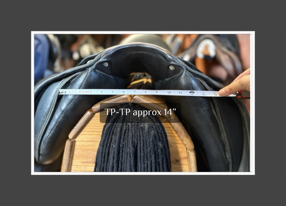 Patrick Saddlery “Juno” HOOP TREE. 17.5” XXW