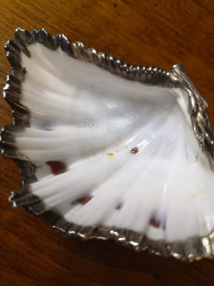 M.Buccellati Silver Shell Dish