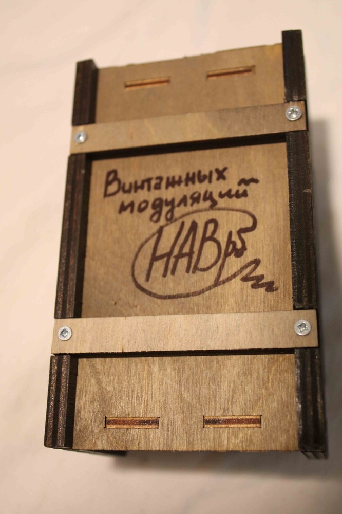 Bee Madness HF Modulator