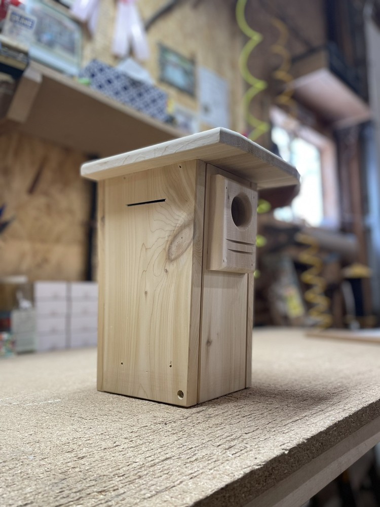 White cedar Bluebird nesting box