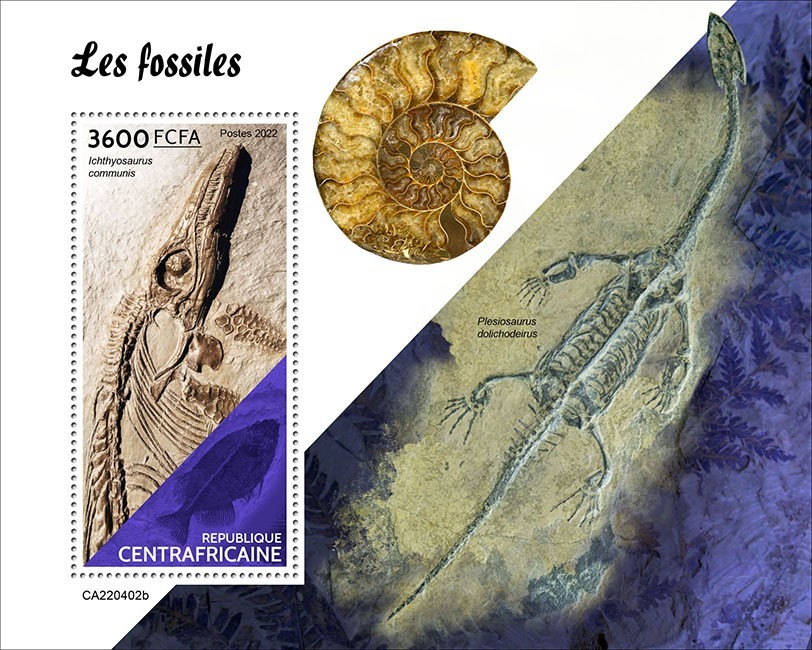 Fossils