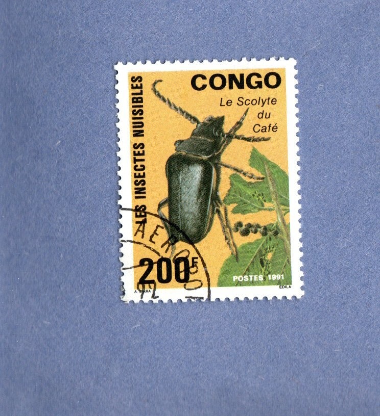 CONGO 1991 USED INSECT BETTLE POSTAGE STAMPS