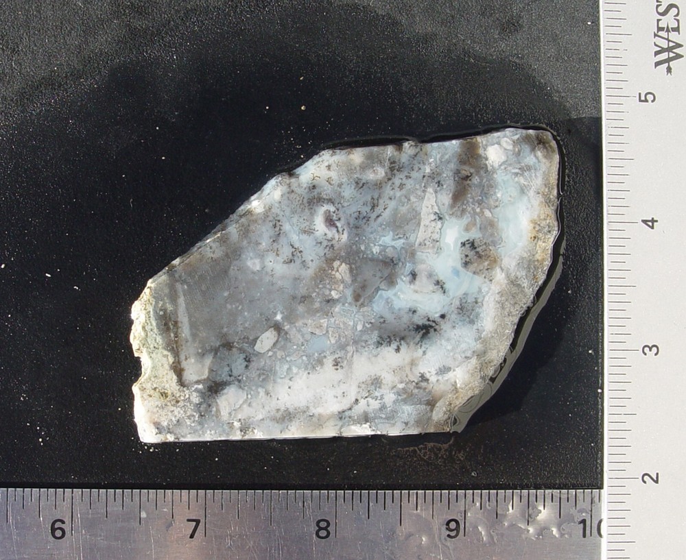 Dendritic Agate     Lapidary Slab                    T1127