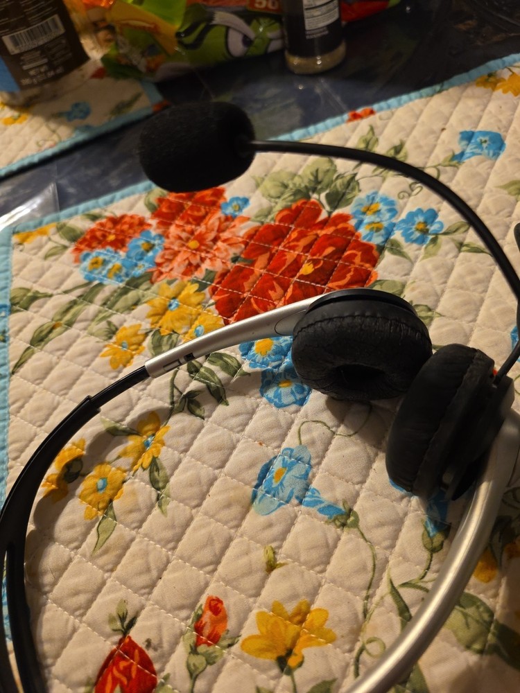 Logitech Over the Ear Headset And Microphone