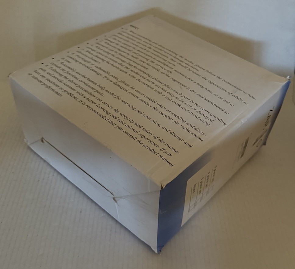 Human Anatomy Science Education Model Set