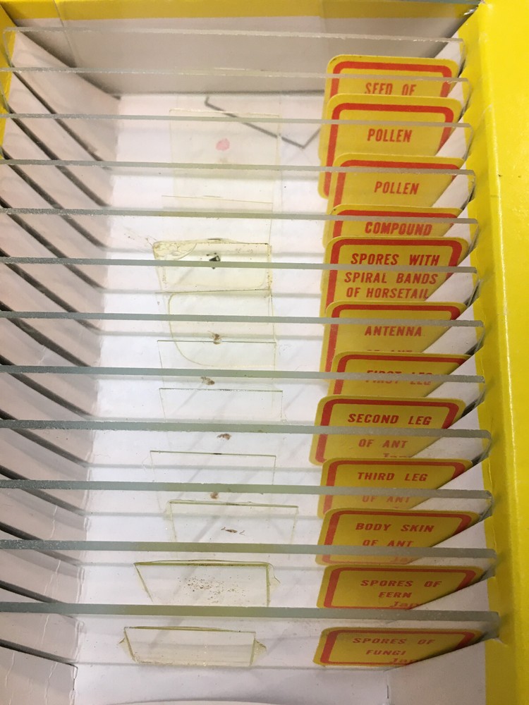 ATCO Microscope Model 1377 W/Original Box & 24 Pre-made Slides! READ BELOW!