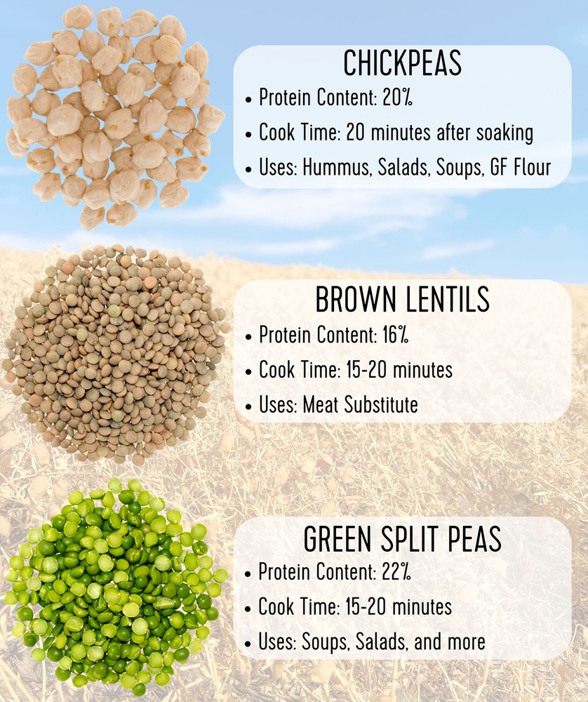 Brown Lentils | 15 LB