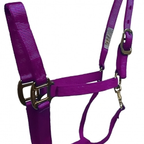 Hamilton Deluxe Eclipse 1" Halter w/Panic Snap
