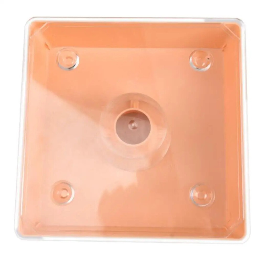 Beehive Bee Feeder Beekeeper Tool Easy to Use