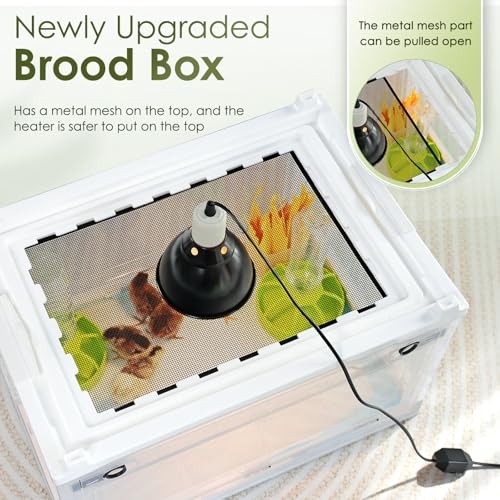 Brooder Box for Chicks, Chicken Brooder Box Warms Up to 25 Chicks Adjustable