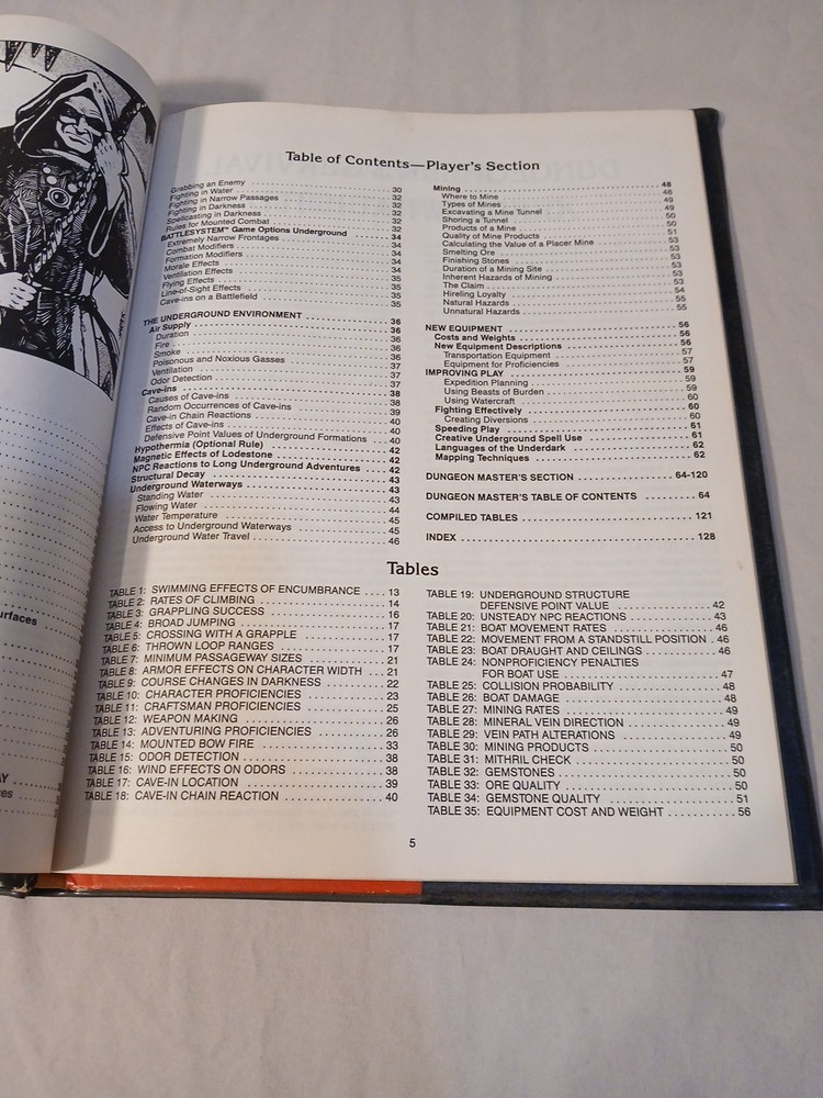 Advanced Dungeons & Dragons Lot Dungeoneer's & Wilderness Survival Guide, DMG