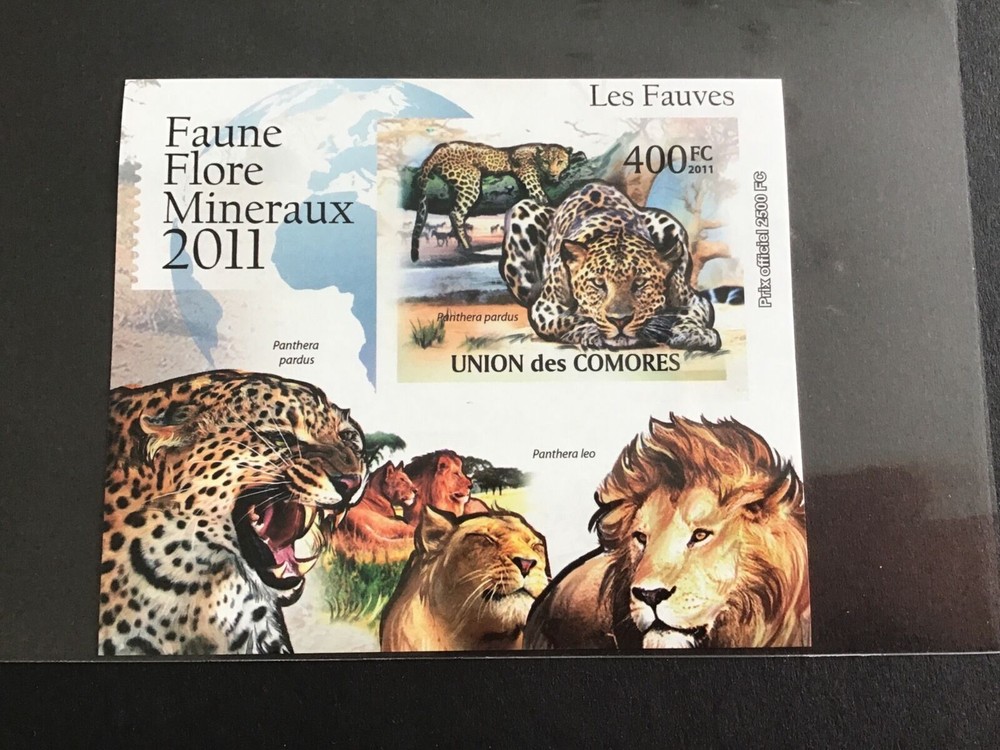 Comores 2011 Wild Cats Mint Never Hinged Imperf Mini Stamp Sheet R38734