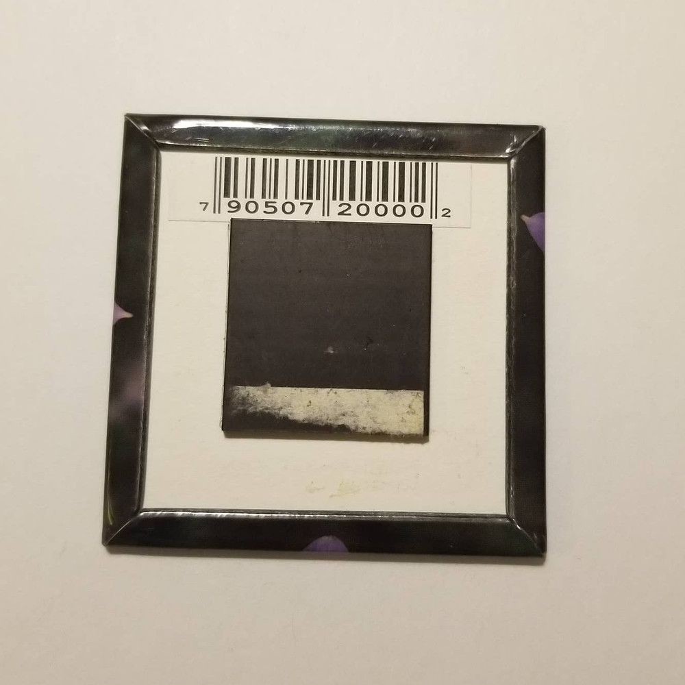 Colorado Flowers Magnet 2x2