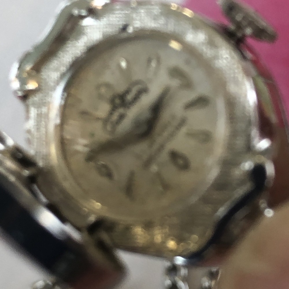 Lady Roger Necklace Watch
