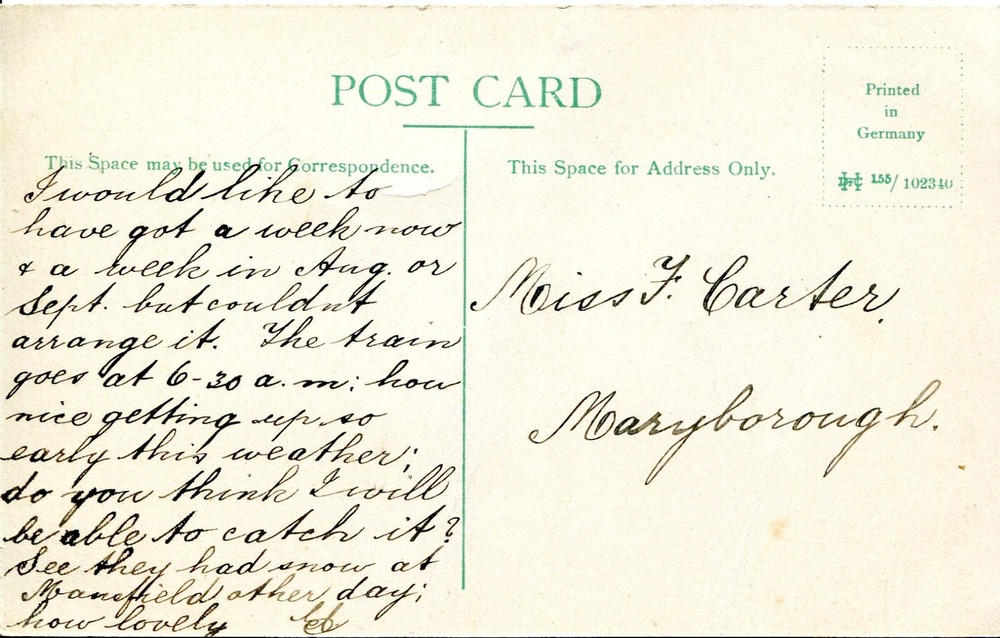 Healesville Township - Postcard