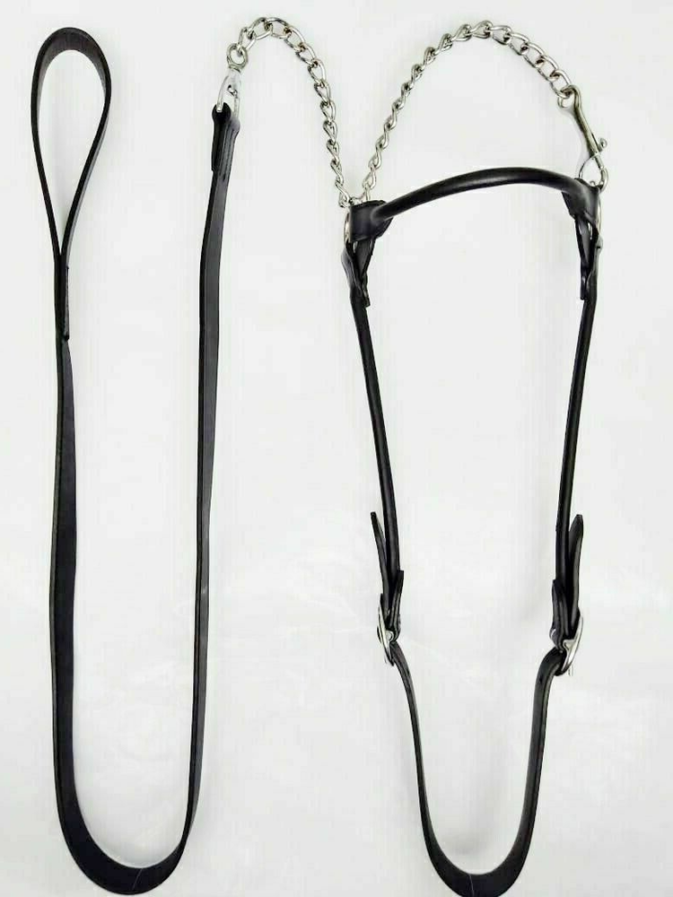 Show Halter With Leather Bling With Silver Fitting black Colour