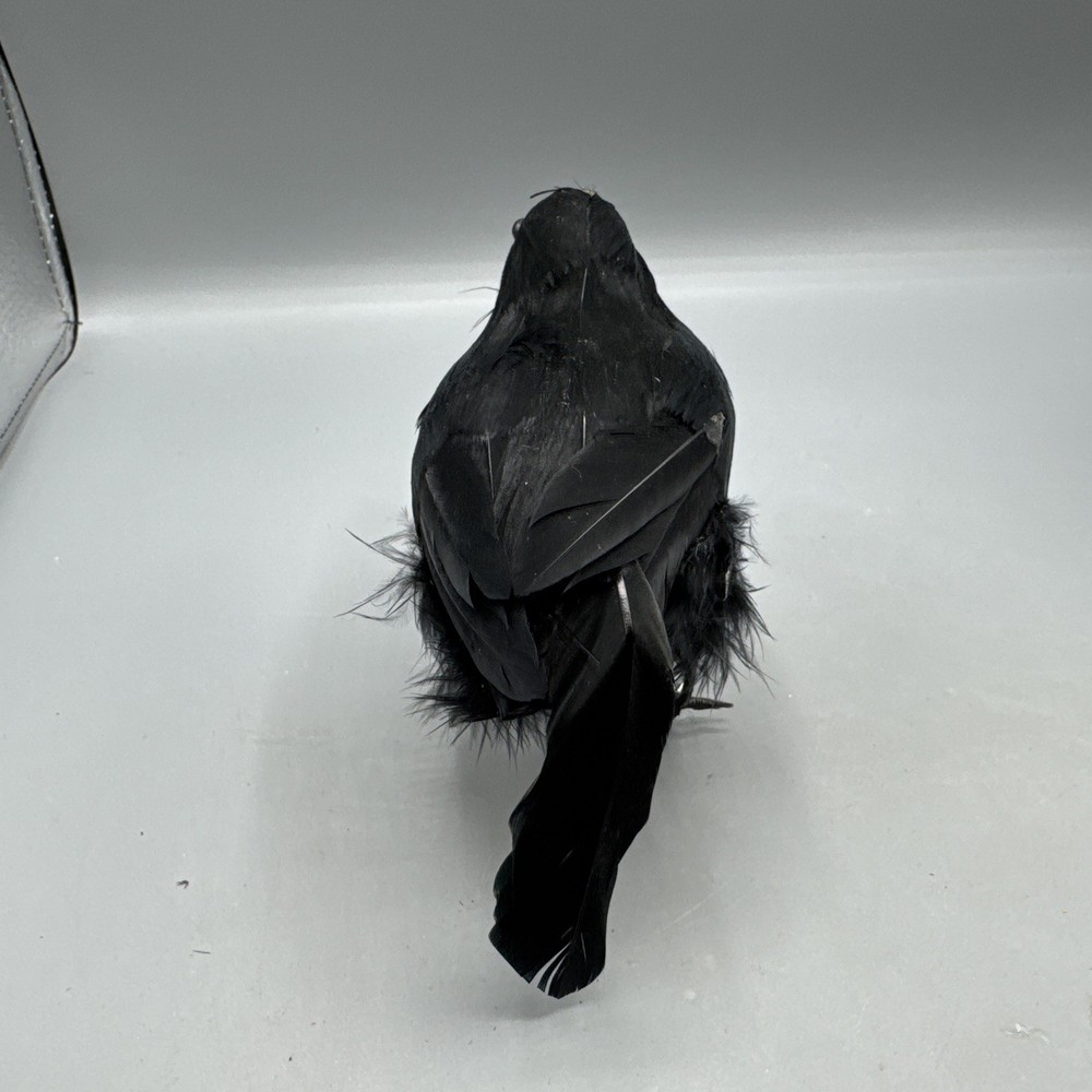 5 PCS Black Feathered Crows Halloween Ravens