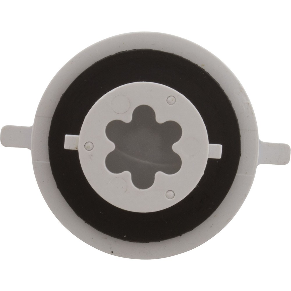 Check Valve Assembly, CMP PowerClean Mini Chlorinator : 25280-000-920