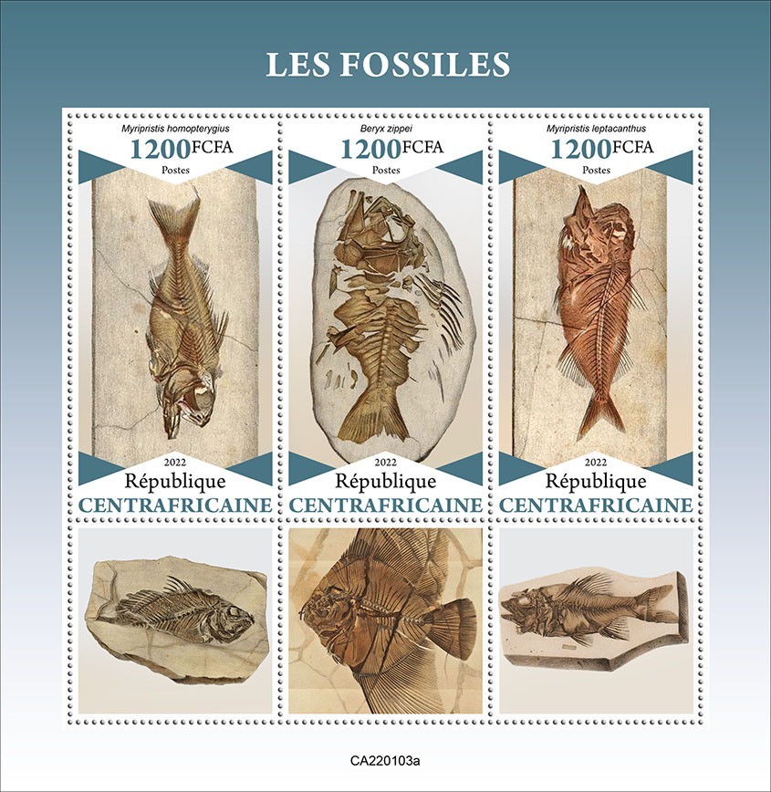 Fossils