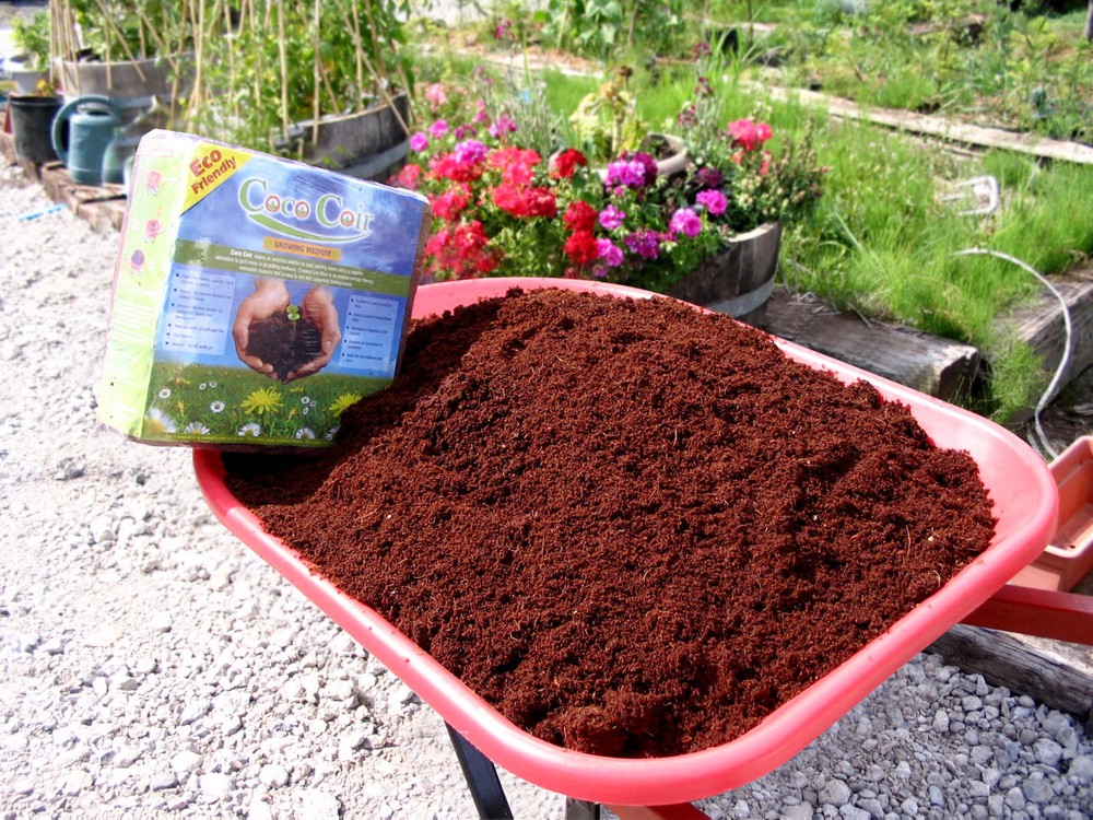 5 X 5kg Bricks (55.5 LBS.) Coconut Coir Coco Coir Soil Amendment Growing Medium