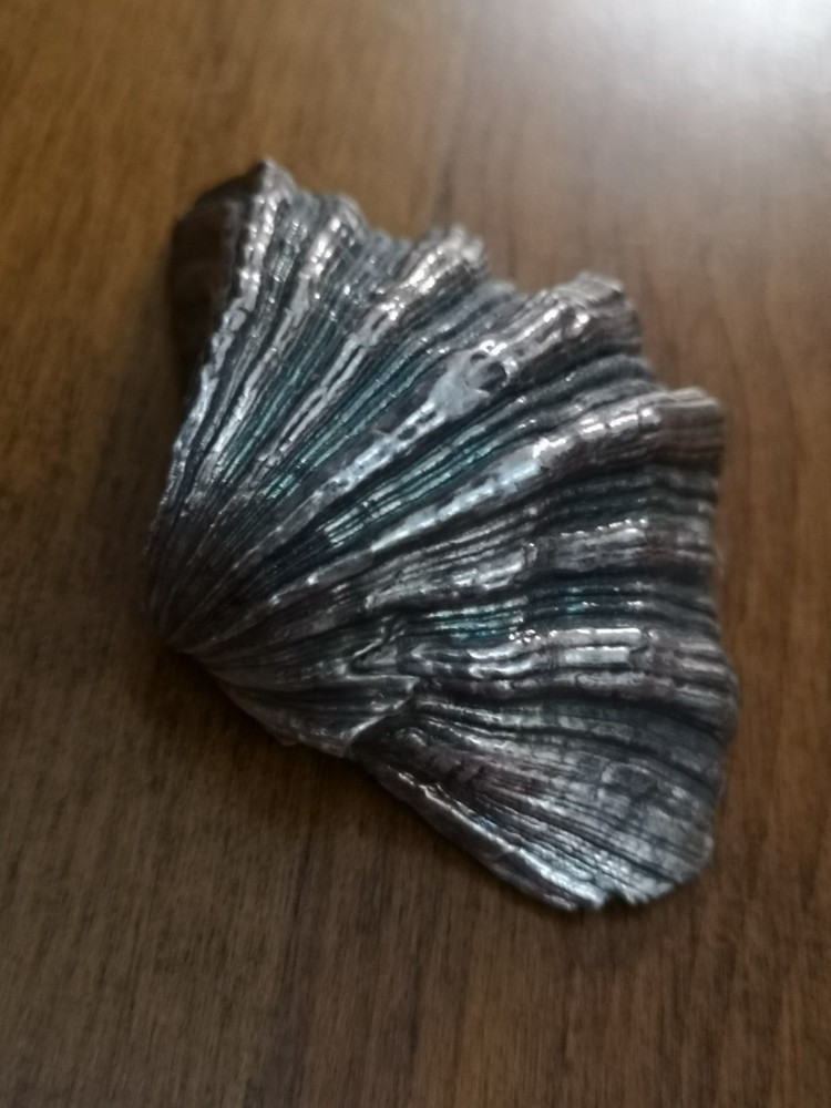 M.Buccellati Silver Shell Dish