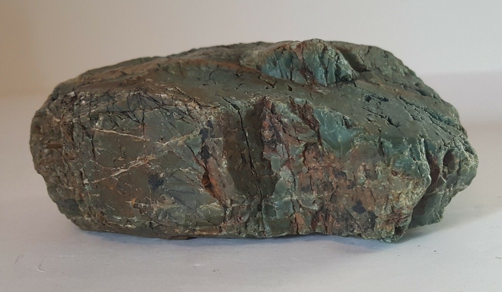 Petrified Wood Greenish, Rust, Black