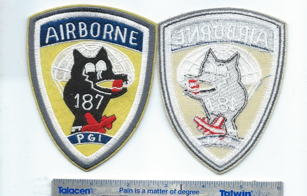 #398 187TH AIRBORNE PGI