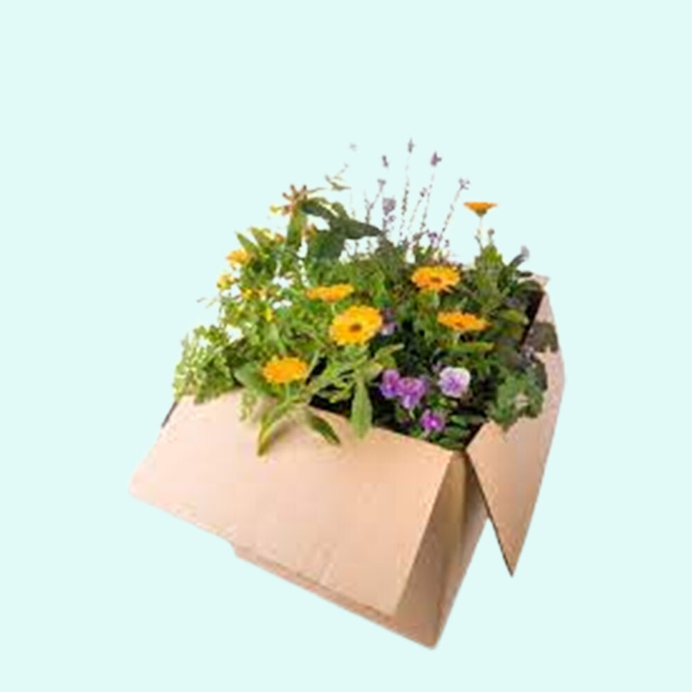 Special Packing For Live Plants