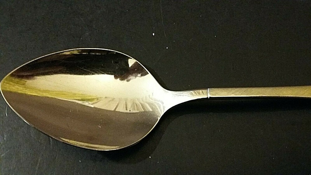 Oneida Vignette Stainless Oval soup spoon 6 7/8"